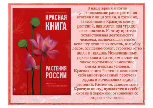 Красная книга. Растения России. Для дошкольников