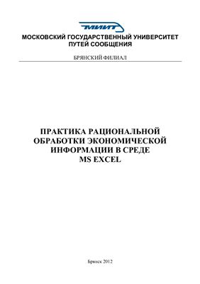 Новиков С.П. Практика рациональной обработки экономической информации в среде MS Excel