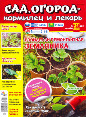 Сад, огород - кормилец и лекарь 2016 №24