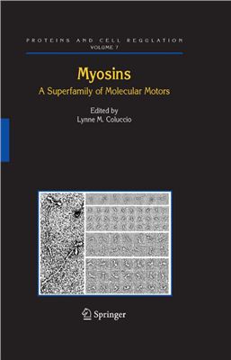 Coluccio L.M. Myosins. A superfamily of molecular motors (Миозины. Надсемейство молекулярных моторов)