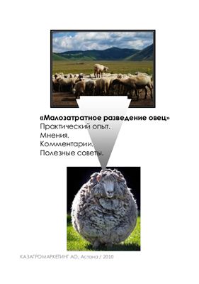 Контрольная работа по теме Кормление сельскохозяйственных животных: овец, лошадей