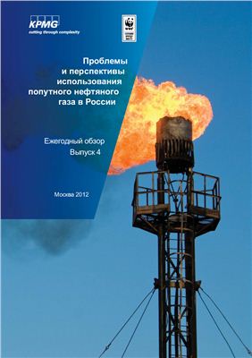Книжников А.Ю., Пусенкова Н.Н. Проблемы и перспективы использования попутного нефтяного газа в России