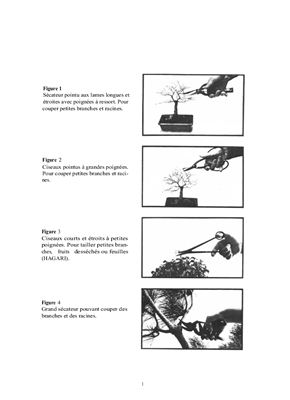 Naka J.Y. Technique du bonsai I