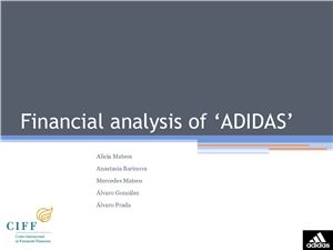 Financial analysis of ADIDAS