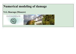 Numerical modeling of damage