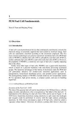 Yuan Xiao-Zi, Wang Haijiang. PEM Fuel Cell Fundamentals
