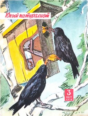 А барто юный натуралист. Юный натуралист зарисовки. Юный натуралист в младшей группе. Детский журнал Юный натуралист. Плакаты юных натуралистов.