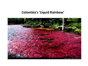 Colombia's 'Liquid Rainbow'