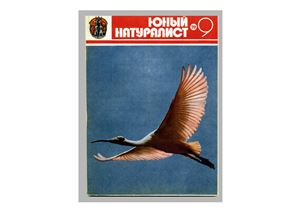 Юный натуралист 1979 №09