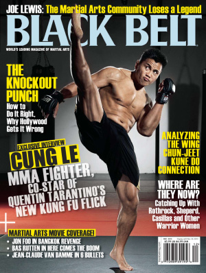 Black Belt 2013 №12