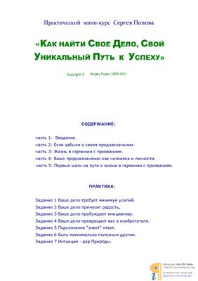 Попов Сергей. Как найти своё дело, свой уникальный путь к успеху