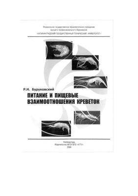 Буруковский Р.Н. Питание и пищевые взаимоотношения креветок