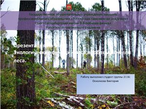 Экологические функции леса, проблема гибели леса