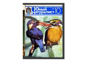 Юный натуралист 1982 №10