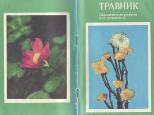 Травник аудиокнига. Травник лекарственные растения и их применение 1990. Травник. Лекарственные растения и их применение, Москва, 1989. Травник м. Буянов. Травник: лекарственные растения и их использование Георгий Крылов 1993.