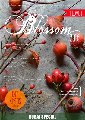 Blossom zine 2015 Edition №07 Winter
