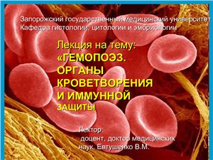 Гемопоэз. Органы кроветворения и иммунной защиты