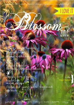 Blossom zine 2013 Edition №01 Summer