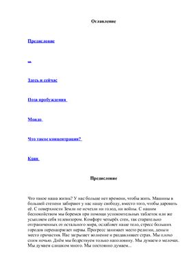 Дэсимару Т. Дзадзэн, практика Дзэн. Здесь и сейчас