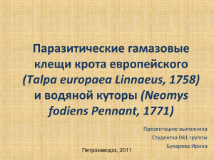 Паразитические гамазовые клещи крота европейского (Talpa europaea Linnaeus, 1758) и водяной куторы (Neomys fodiens Pennant, 1771)