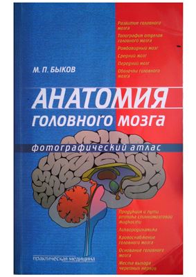 Быков М.П. Анатомия головного мозга. Фотографический атлас