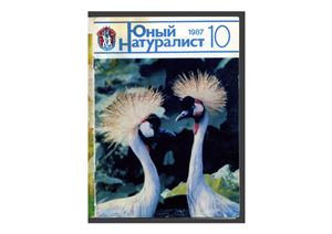 Юный натуралист 1987 №10