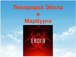 Лихорадка Эбола и Марбурга