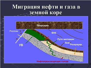 Миграция нефти и газа в земной коре