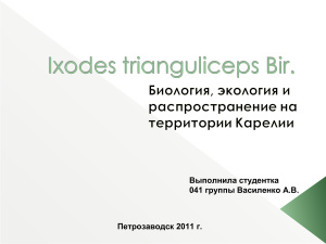 Ixodes trianguliceps Bir: биология, экология и распространение на территории Карелии