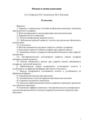 Смородов Е.А., Галиахметов Р.Н., Ильгамов М.А. Физика и химия кавитации