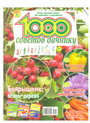 1000 советов дачнику 2013 №21
