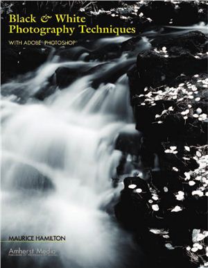 Hamilton M. Black & White Photography Techniques with Adobe Photoshop