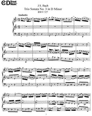 Бах И.С. Трио-сонаты № 3 Ре Минор (BWV 527)
