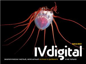 IV Digital 2012 №02