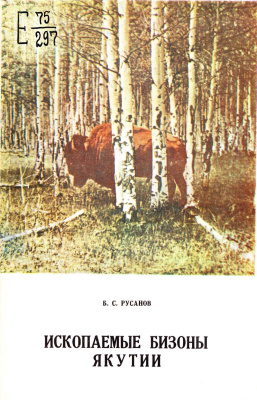 Русанов Б.С. Ископаемые бизоны Якутии