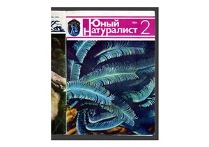 Юный натуралист 1984 №02