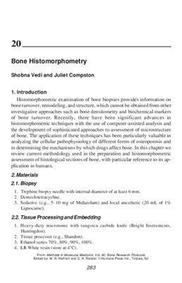 Vedi S., Compston J. Bone histomorphometry