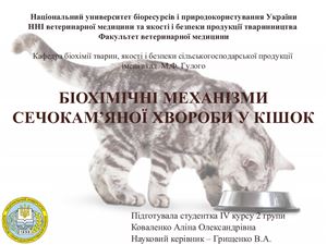 Біохімічні механізми розвитку сечокам'яної хвороби у кішок (22 cлайди)