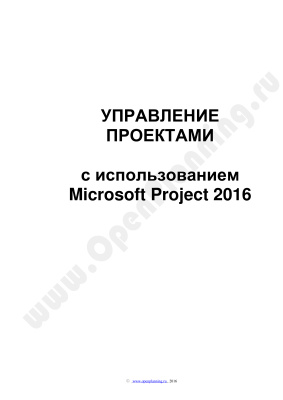 Зубрицкий А.А. Управление проектами с использованием Microsoft Project 2016