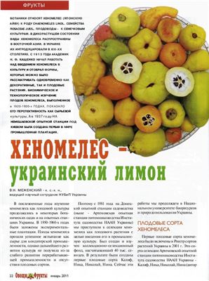 Меженский В.Н. Хеномелес - украинский лимон