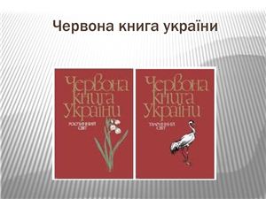 Грибы и лишайники Красной книги Украины
