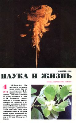 Наука и жизнь 1993 №04