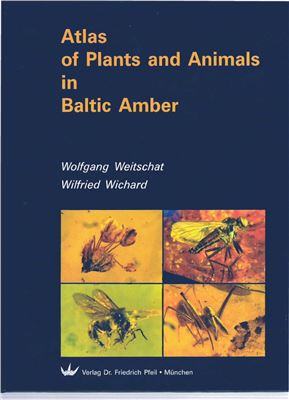 Weitschat W., Wichard W. Atlas of Plants and Animals in Baltic Amber