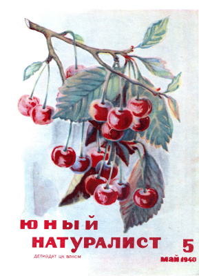 Юный натуралист 1940 №05