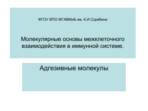 Молекулярные основы межклеточного взаимодействия в иммунной системе