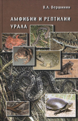 Вершинин В.Л. Амфибии и рептилии Урала