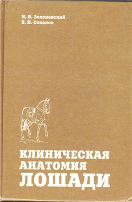 Зеленевский Н.В., Соколов В.И. Клиническая анатомия лошади