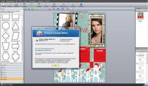 Picture Collage Maker Pro 4.0.5.3799 Rus
