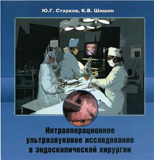 Старков Ю.Г., Шишин К.В. Интраоперационное ультразвуковое исследование в эндоскопической хирургии