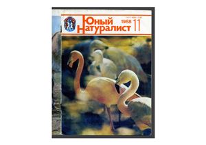 Юный натуралист 1988 №11